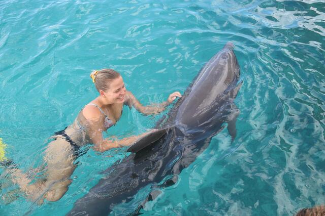 Bei der Delphintherapie liegt der Fokus auf der Interaktion zwischen den Tieren und den Kindern im Wasser. Dabei werden sie von einem Therapeuten begleitet und unterstützt. | Foto: Weinzinger