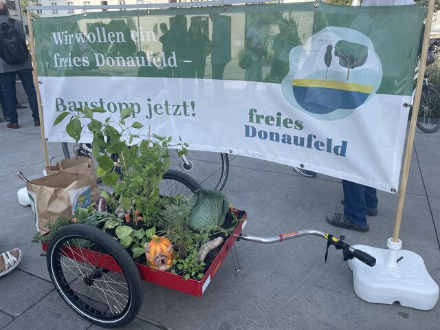 Frisches Gemüse direkt aus dem Donaufeld. | Foto: Brandl