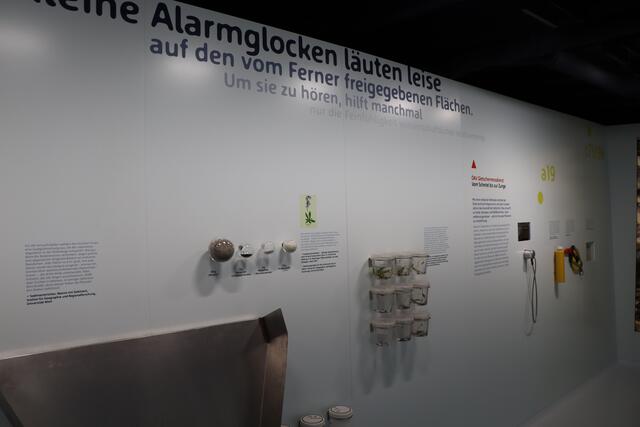 Foto: Othmar Kolp