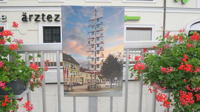 Den ganzen Weg entlang bis zur Apotheke wurden die Fotos aufgehängt | Foto: Carina Fröhlich