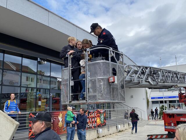 Foto: Tamara Himsl