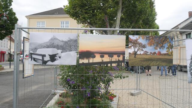 Die Bilder zeigen verschiedenste Aufnahmen quer durchs Burgenland | Foto: Carina Fröhlich