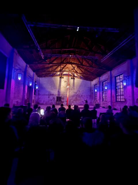Das zeitgenössische Zirkusfestival "Cirque Neuburck" wurde erstmals beim Töpperschloss ausgetragen. | Foto: Sophia Lindner