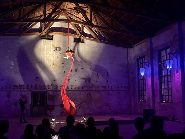 Das zeitgenössische Zirkusfestival "Cirque Neuburck" wurde erstmals beim Töpperschloss ausgetragen. | Foto: Sophia Lindner