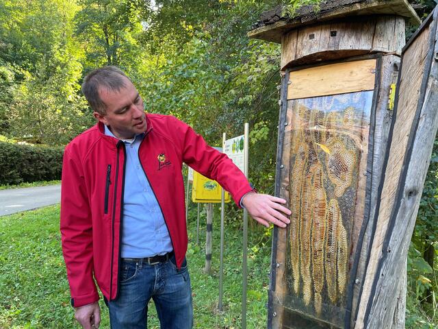 Der Leobener Bio-Imker Erich Landner erklärt den Workshop-Teilnehmern wie sich Bienen in ihrem Stock verhalten.