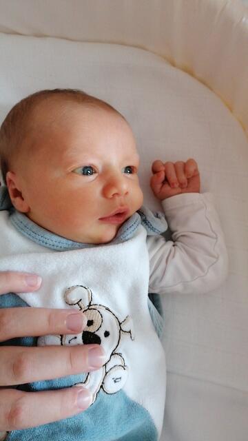 Maximilian
Geburt: 22. Juli
50 cm, 3.300 g
Benedikt und Sabrina Klingler aus Tillmitsch | Foto: Privat