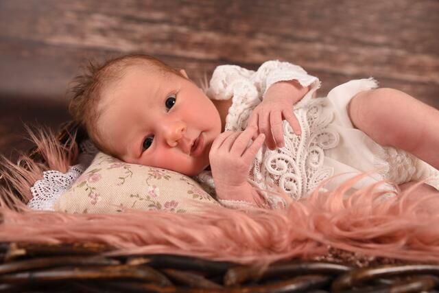 Lilian
Geburt: 30. Mai
50 cm, 2.710 g
Verena und Yannic Süssinger aus Gralla | Foto: Monika Narrath Photography