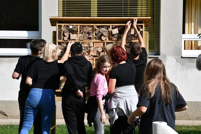 Im Schulhof wurde ein Insektenhaus gebaut. | Foto: MS Voitsberg