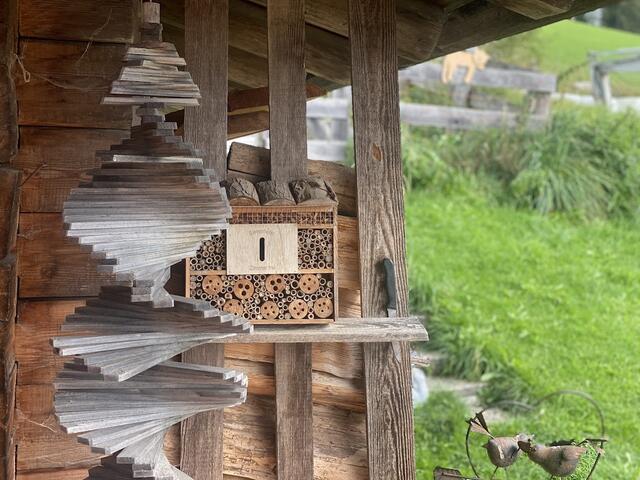 Am Sauschneidhof wird auf alle Tiere gut geschaut, auch auf Insekten.