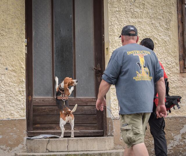 Foto: Traildogs Gmunden