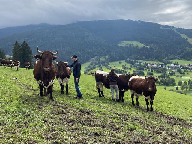 Sepp und Juliane Habersatter auf ihrer Weide am Lebenshof in Radstadt