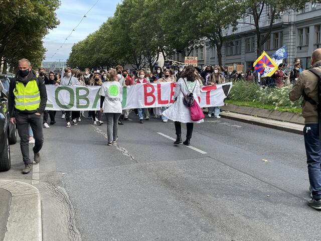 Alleine in Wien wurden laut eigenen Angaben der Veranstalter bis 14 Uhr 20.000 Teilnehmer gezählt.