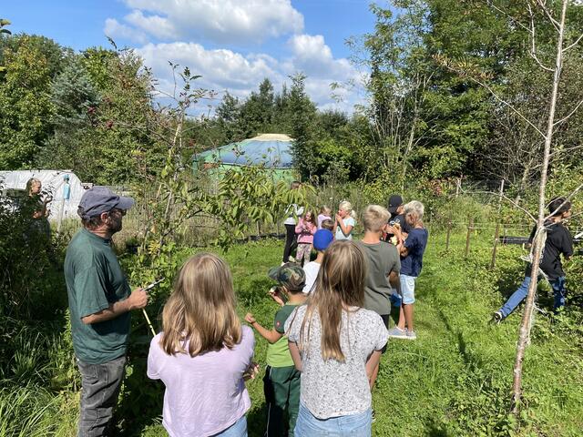 In fünf Bereichen müssen die Gemeinden verschiedene Aktivitäten für die jungen Bürger anbieten: Struktur, Aktionen, Partizipation, Öffentlichkeitsarbeit und Raumbereitstellung.   | Foto: Gemeinde Dorf an der Pram