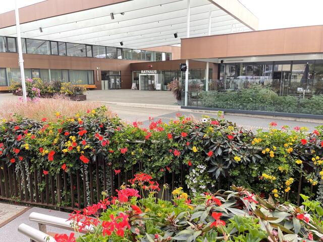 Gemeinsam, regional, unterhaltend: In Lannach gibt es jetzt wieder einen Bauernmarkt. 