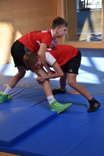 Auch die Ringer aus Inzing stellten ihren Sport vor. | Foto: Lair