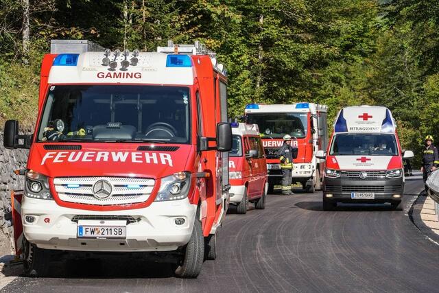 Einsatz für die Feuerwehr: Das Fahrzeug einer 90-jährigen Lenkerin prallte in Lunz gegen eine Leitschiene und landete auf dem Dach. | Foto: BFKDO Scheibbs/Thomas Wagner