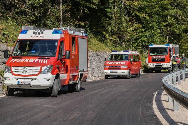 Einsatz für die Feuerwehr: Das Fahrzeug einer 90-jährigen Lenkerin prallte in Lunz gegen eine Leitschiene und landete auf dem Dach. | Foto: BFKDO Scheibbs/Thomas Wagner