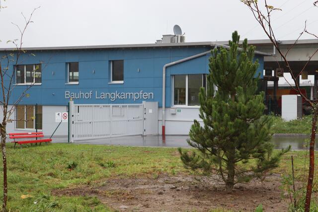 Anstelle der Zirbe wurde nun eine Schwarzkiefer eingepflanzt. 