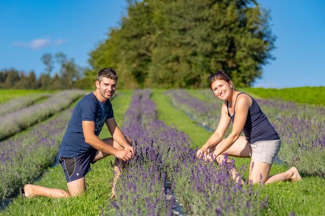 Michael und Theresa Falkinger aus Putzleinsdorf freuen sich über die erste Lavendelblüte. | Foto: Christian Fidler