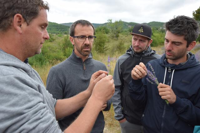 Felix Heckendorn (Leiter FiBl Frankreich), Vincent Clary (Cooperative France Lavande), Jakob Peer (Landwirt und Lavendelbauer) und Michael Falkinger (Landwirt und Lavendelbauer, v.l.). | Foto: Biokompetenzzentrum Schlägl