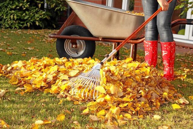 Foto: Kathrin39/adobe.stock.com