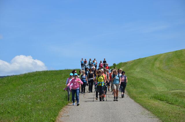 96 Frauengruppen werden am 16. Oktober in ganz Österreich auf verschiedenen Wegen pilgern, hier eine Gruppe des Dekanats Sarleinsbach. | Foto: kfb Dekanat Sarleinsbach