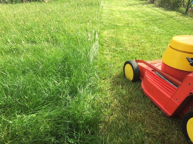 Foto: joerg dirmeitis/adobe.stock.com