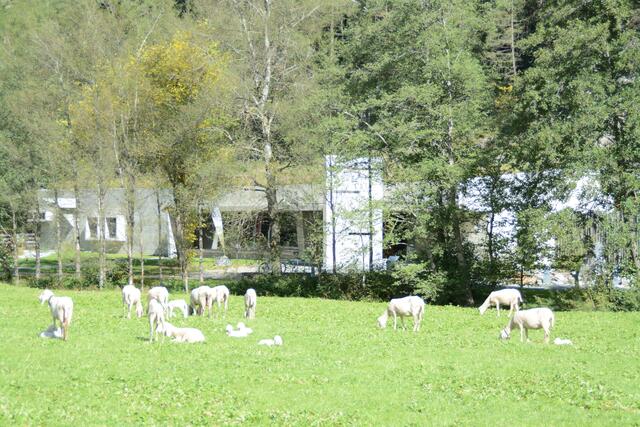 Das Naturparkhaus ist ein moderner, perfekt in die Umgebung integrierter Bau, auch das Innere beschäftigt sich mit dem Schwerpunkt Ötztaler Natur. | Foto: Schöpf