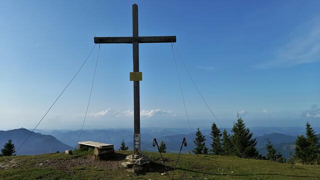 Die Reisalpe, der höchste Berg der Gutensteiner Alpen | Foto: S.Plischek