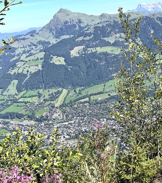 Blick auf Kitzbühel und das "Horn" (links hinten Loferer Steinberge). | Foto: Kogler