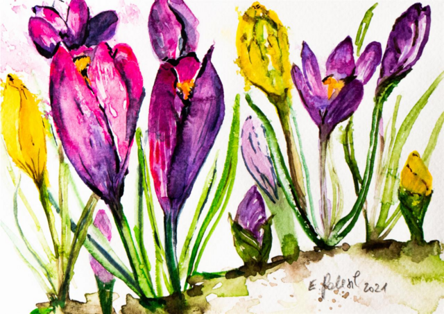 Foto: Elisabeth Potesil