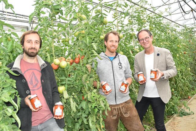 Von der Staude ins Glas: Tomatensugo-Koch Rafael Wedenig mit Naturgärtner Simon Wedenig und dem Marketingleiter der Sparkasse Feldkirchen Gerhard Schreilechner (von links)