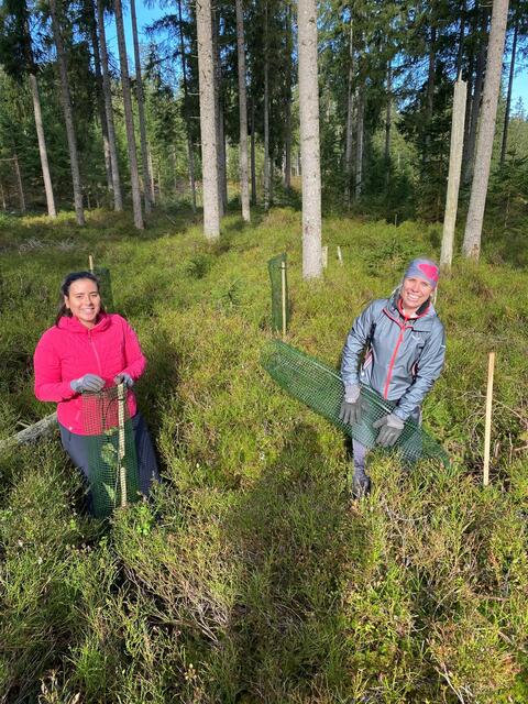 Marketenderinnen des Viertels Unterland beim Pflanzen der Setzlinge. | Foto: BTSK/Gerhard Biller