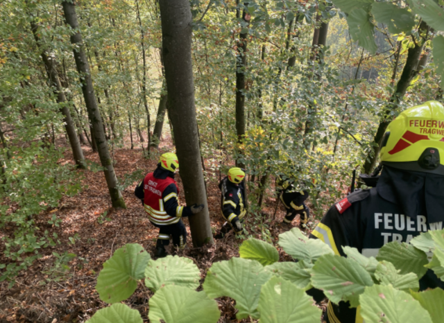 Foto: FF Tragwein