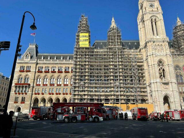 Kürzlich besetzten Klima-Aktivisten sogar das Rathaus, um gegen die Lobau-Autobahn zu protestieren.