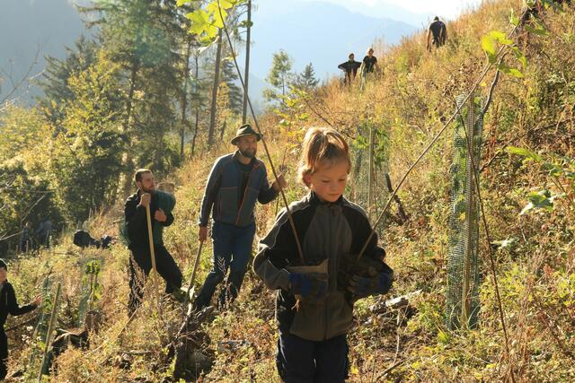 Drei Mischwaldinseln wurden verpflanzt: Jungschützenmarketenderin mit Setzlingen bei der Baumpflanzaktion im Oberland. | Foto: BTSK / Hartwig Röck