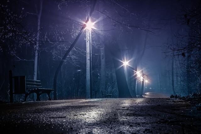 Tatort soll der Grazer Stadtpark bei Nacht gewesen sein: Ein 21-jähriger Türke dürfte einem 26-jährigen Afghanen bei einem Streit rund um ein Mädchen einen Schädelbruch verpasst haben. (Symbolbild) | Foto: pixabay