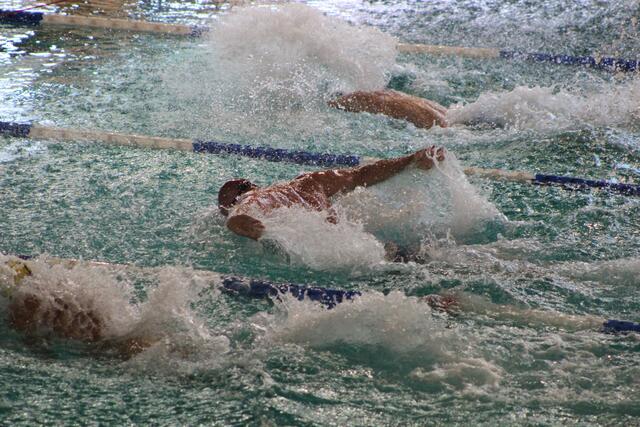 Der Schwimmsport beansprucht den ganzen Körper.
