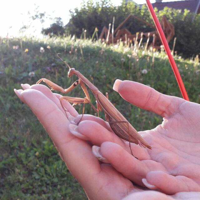 Die Leserin mit ihrem Besuch der anderen Art.