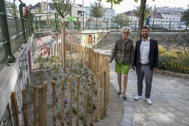 Maria Blazej fordert schon länger, dass die Stiegengasse begrünt wird. Jetzt wird es umgesetzt.  | Foto: BV6