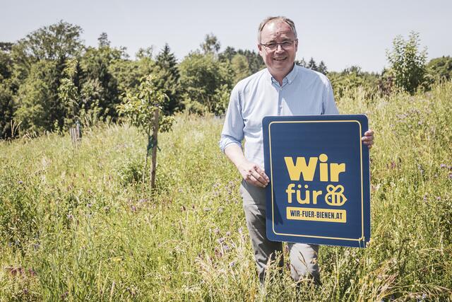  LH-Stv. Stephan Pernkopf empfiehlt die “Wir für Bienen“-Hecke für den eigenen Garten, um Insekten, wie die vielen heimischen Wildbienenarten, zu schützen. | Foto: S. Judtmann