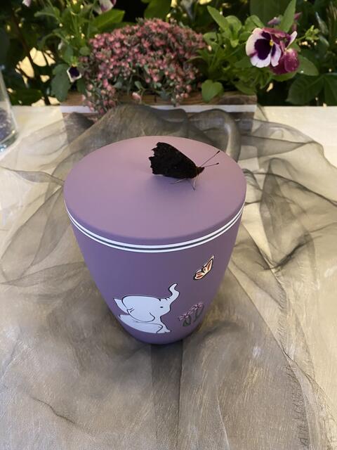 Berührend: Ein Schmetterling rastet auf der Sternenkinder-Urne | Foto: Krennmayr Andrea