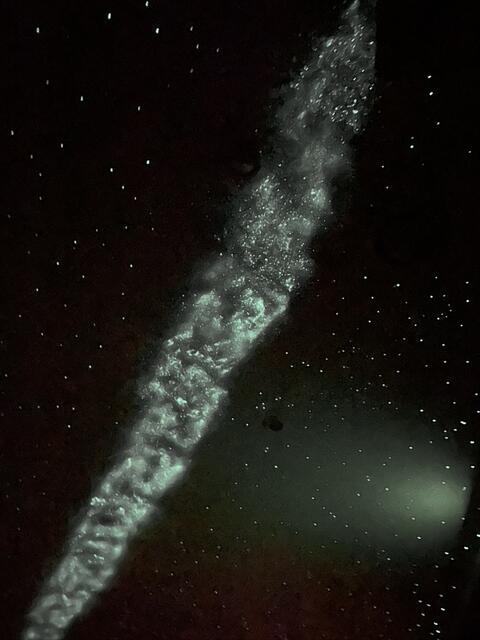 Wenn der Nachtmodus an die Reihe kommt, dann erscheint an der Decke ein Sternenhimmel und die Milchstraße. | Foto: Sarah Braun