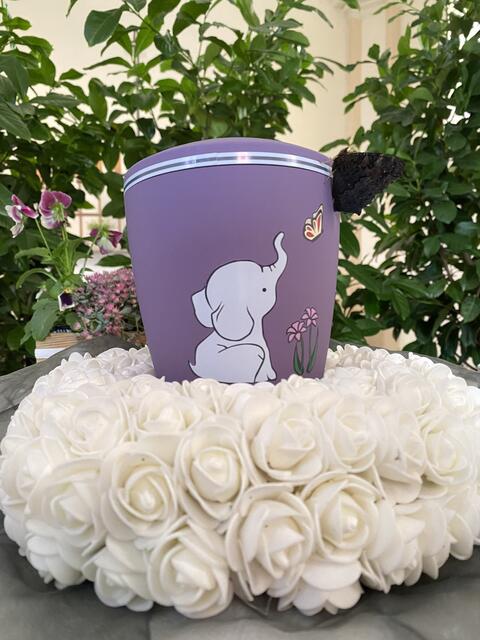 Die Urne eines Sternenkindes  | Foto: Krennmayr Andrea