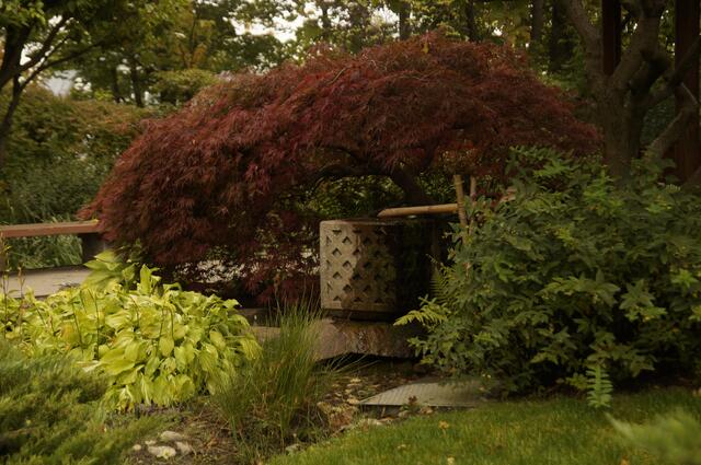 Quellbecken vor der Laube 