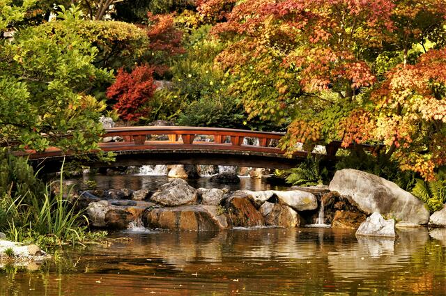 Brücke mit dahinterliegenden Wasserfällen 