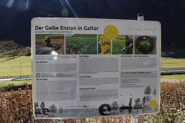Foto: Othmar Kolp