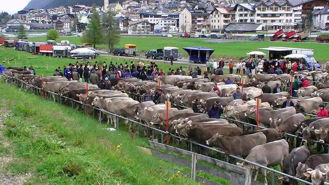 Die Landwirtschaft lebt: Eine Talausstellung in Ischgl.