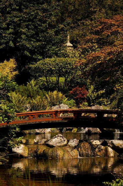 Brücke mit dahinterliegenden Wasserfällen und Blick auf die Pagode 