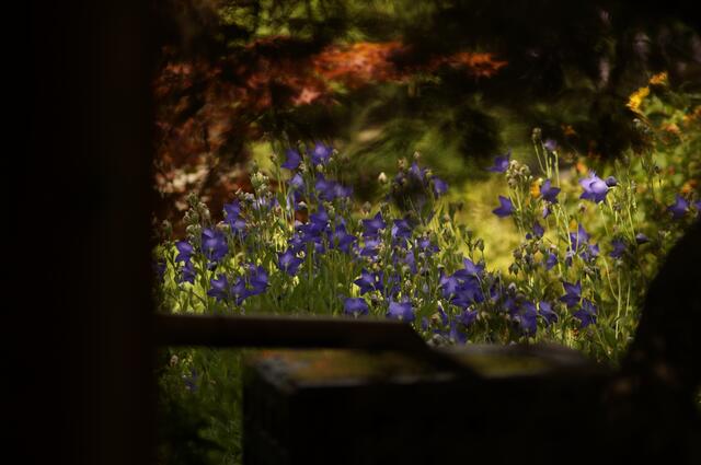 Blick von der Laube zum Quellbecken 